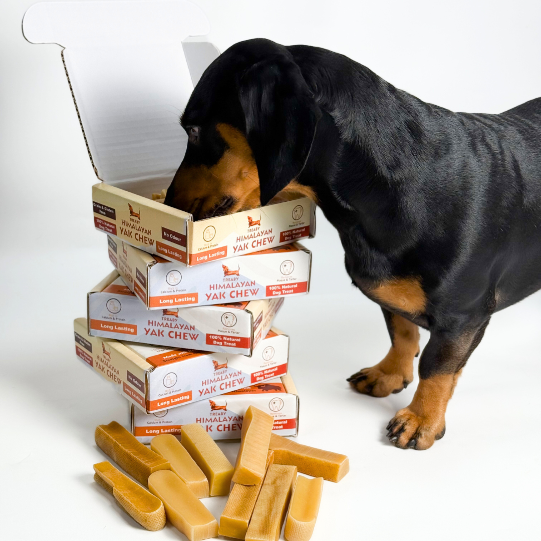 Himalayan Yak Chew, Long-lasting dog chews, Natural dog treats, Yak milk dog chews, Healthy dog chews, Safe dog chews for aggressive chewers, and Premium dog treats.  - Antler Chew 