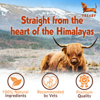 Himalayan Yak chew - Pack of 2 - Antler Chew