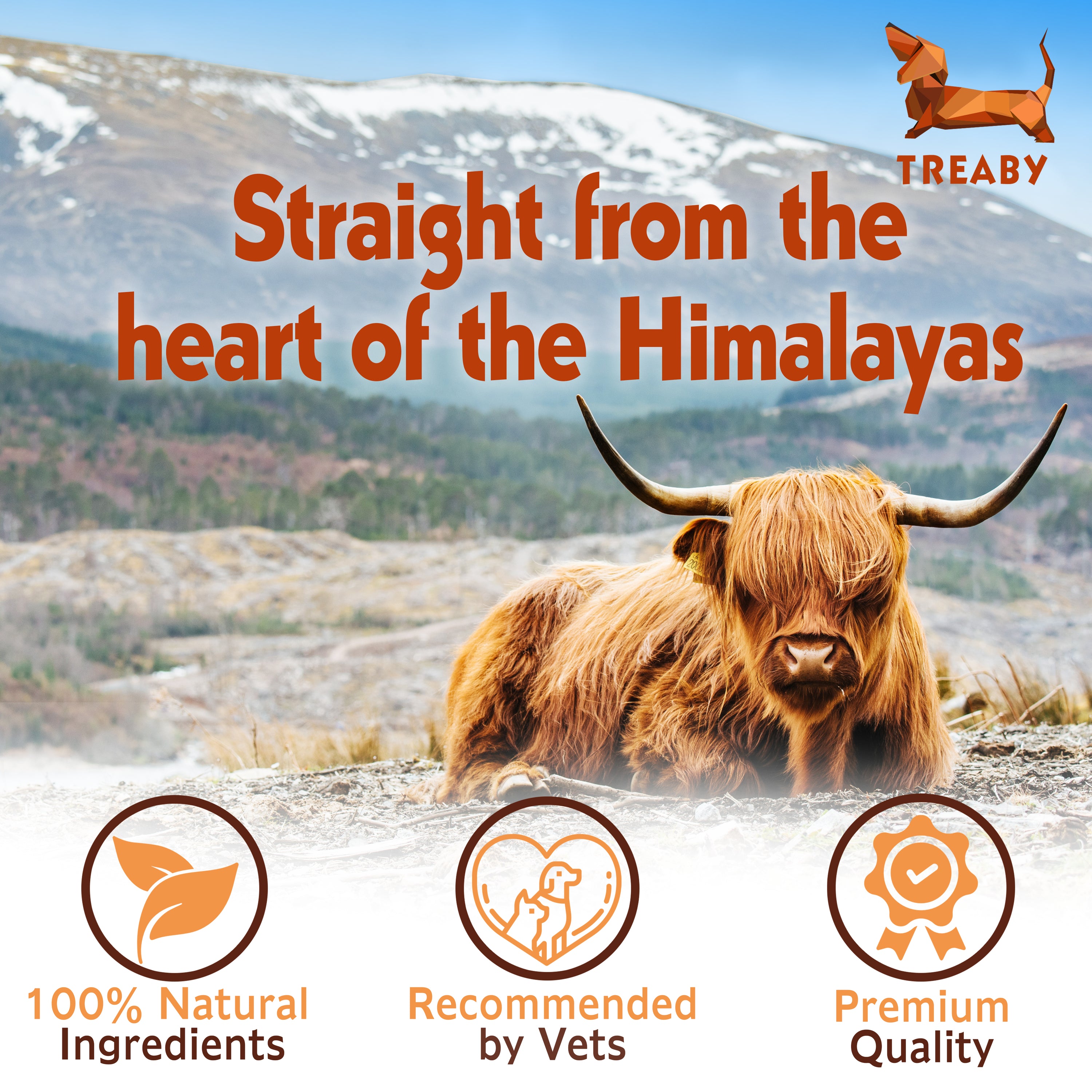 Himalayan Yak chew - Pack of 2 - Antler Chew