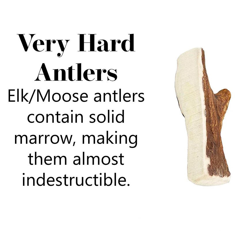 Antler Chew