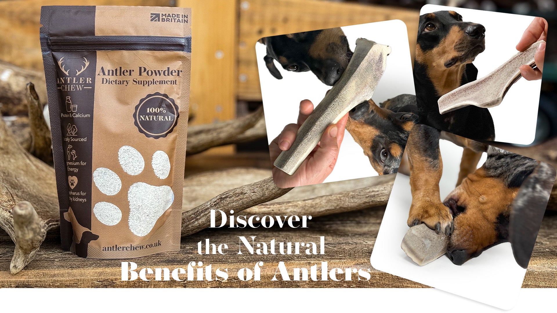 Antler Chew