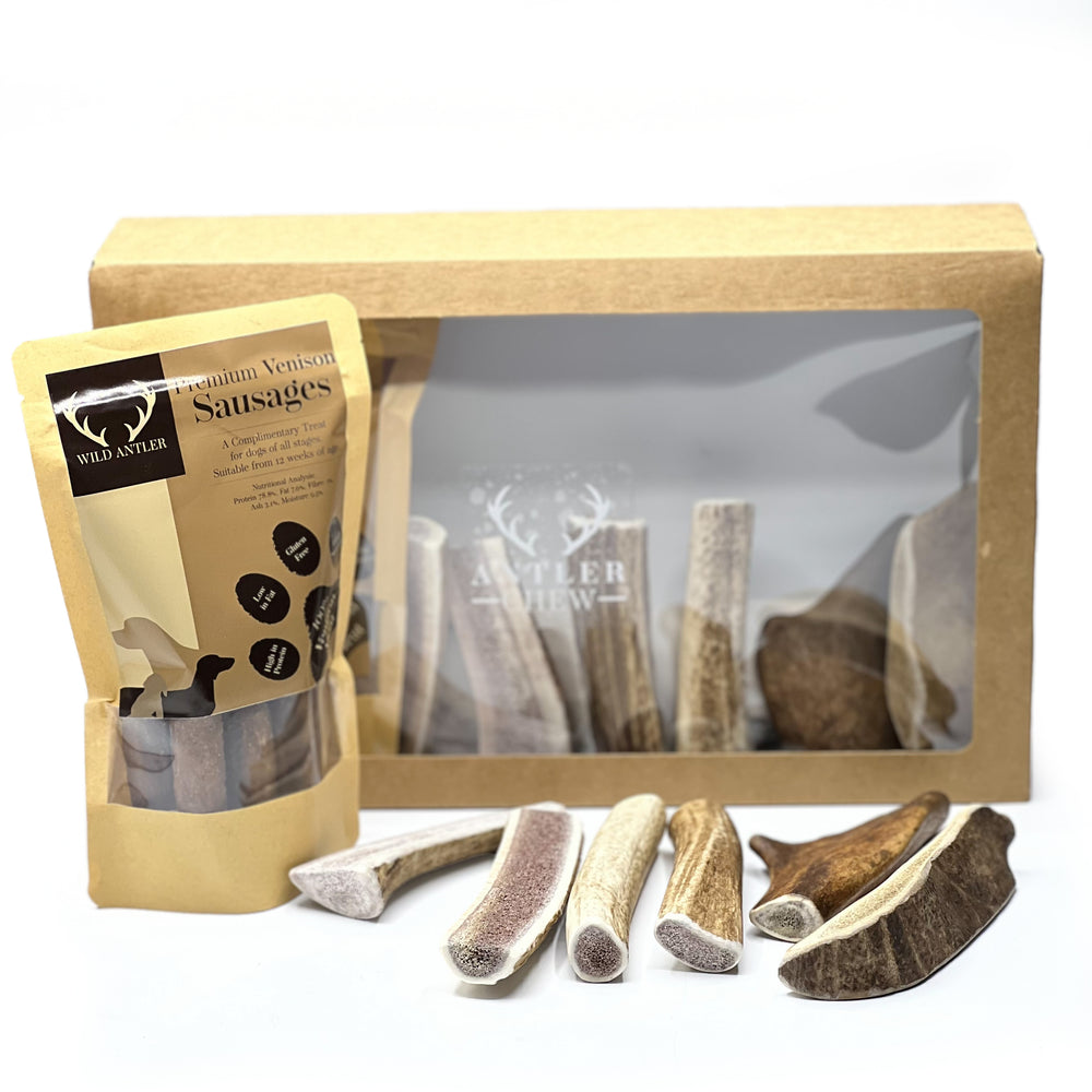 Puppy First  Box - Antler Chew