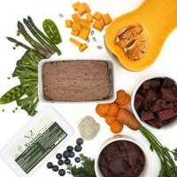 Nutritionally balanced Venison raw dog food with British pasture-reared meat & Antler Powder for calcium. Chill & Safe Next Working Day Delivery.  - Antler Chew 