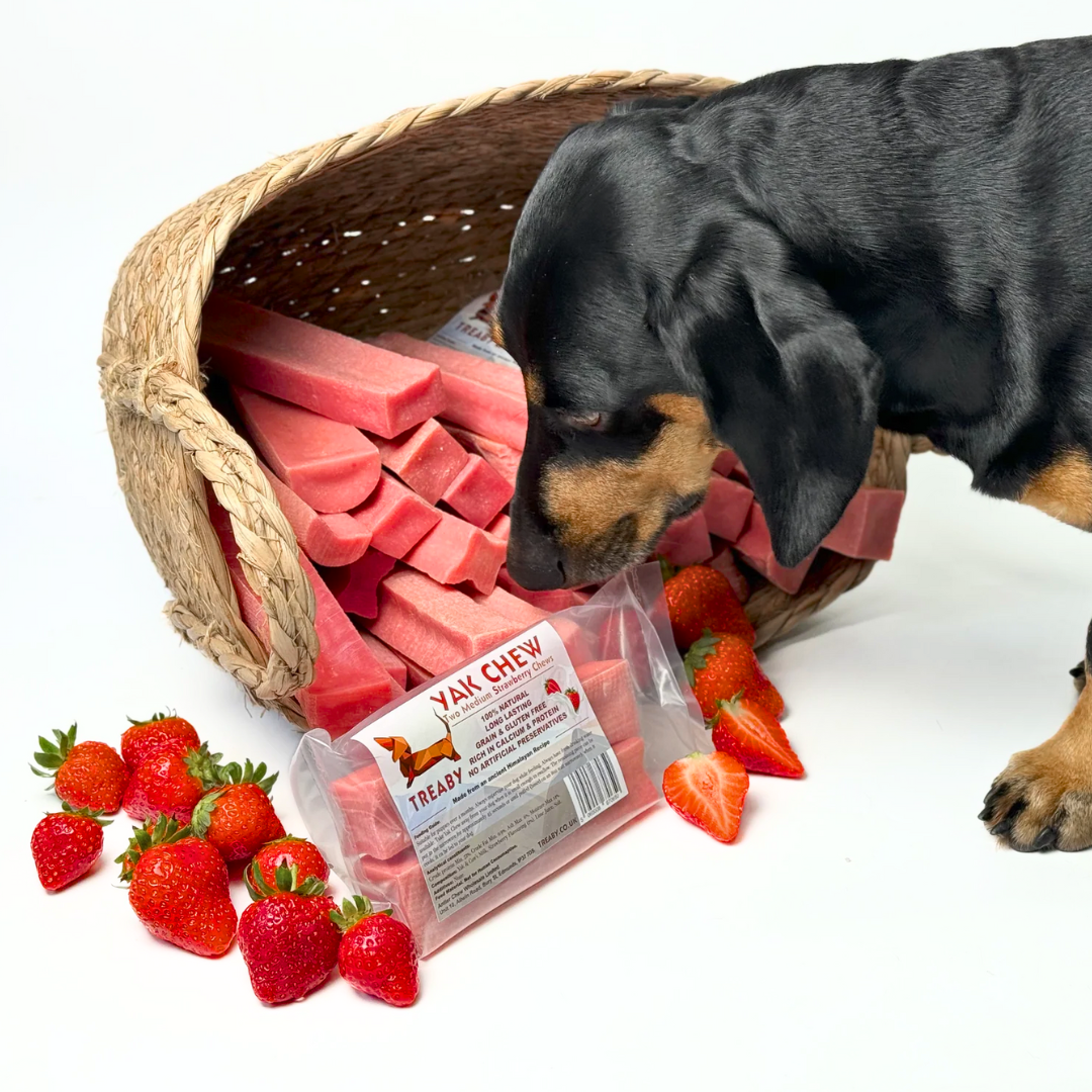 Treat your dog to TREABY's Strawberry Flavour Yak Chew (Medium Size, 2-Pack). Made with natural ingredients, these long-lasting chews are packed with protein, calcium, and antioxidants, supporting dental health. They are perfect for puppies and adult dogs aged 14 weeks and older.  - Antler Chew 
