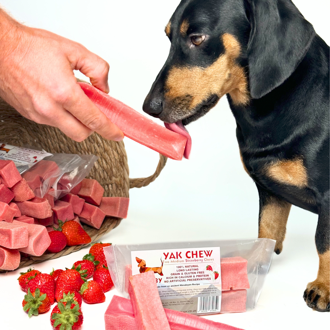 Treat your dog to TREABY's Strawberry Flavour Yak Chew (Medium Size, 2-Pack). Made with natural ingredients, these long-lasting chews are packed with protein, calcium, and antioxidants, supporting dental health. They are perfect for puppies and adult dogs aged 14 weeks and older.  - Antler Chew 